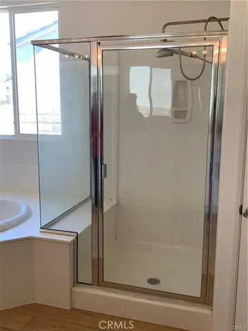 Primary Shower