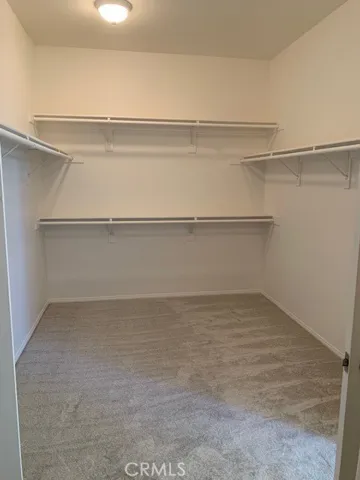 Primary Walk-in  Closet