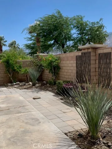 Rear Yard