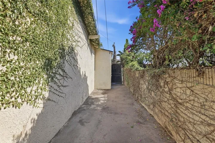 Side Yard