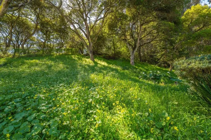 6970 Lakeview Drive, Salinas, California 93907