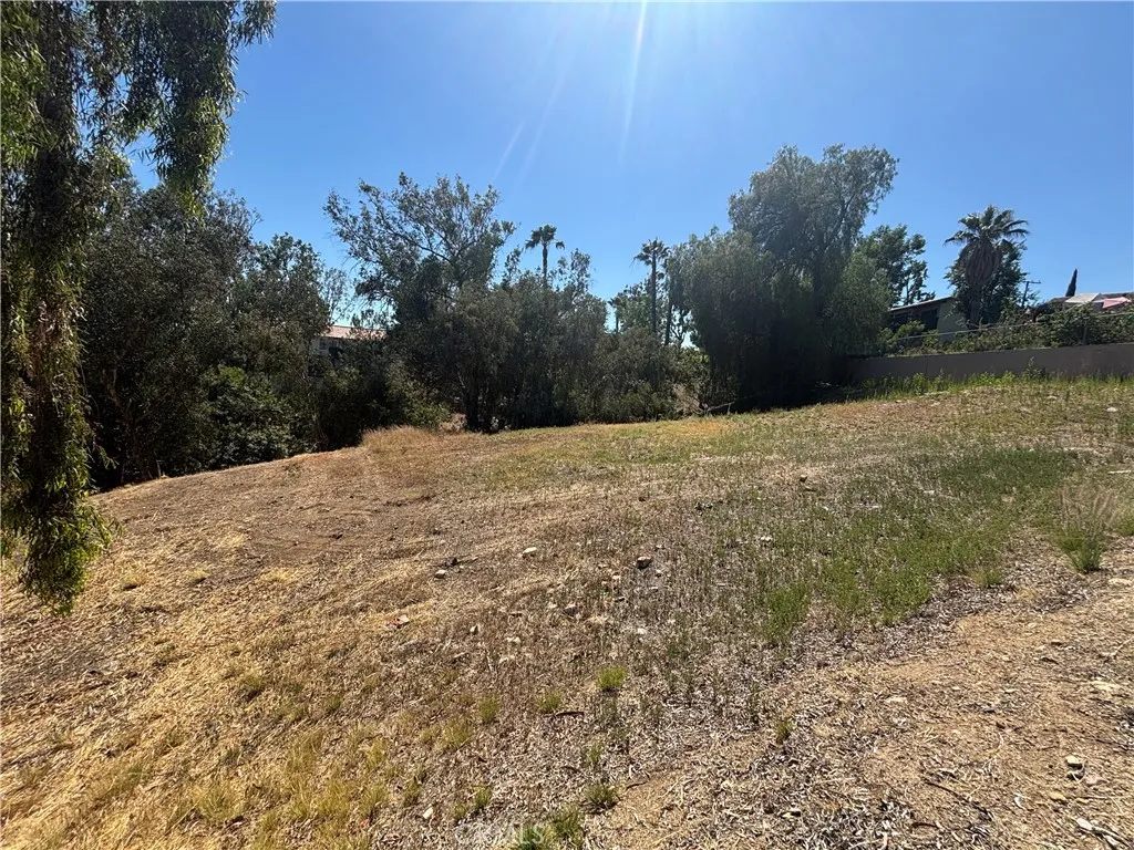 8901 Camino Predera