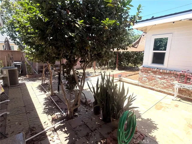 back yard