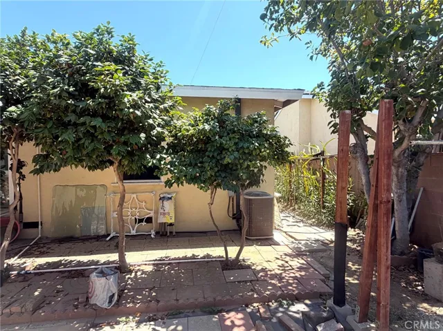 back yard