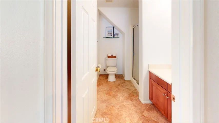 Third bathroom (downstairs)