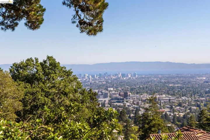 Expansive city skyline and bay scenery, framed by mature trees