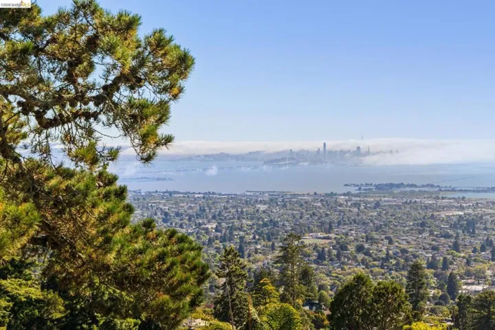 Panoramic cityscape featuring a distant skyline, expansive bay, and dense tree canopy