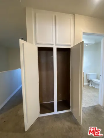 Hall Closet