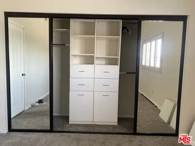 Organizer in Master Closet