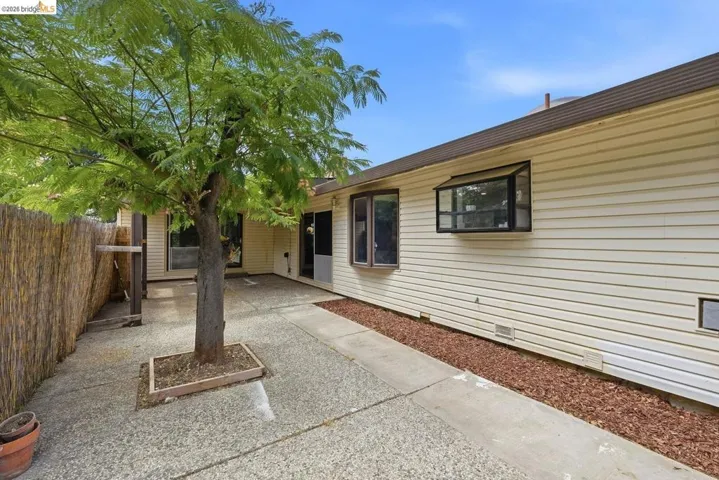 Inviting outdoor patio featuring a mature tree, concrete paving, and a slatted privacy fence