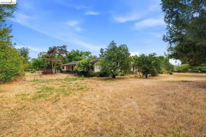 Expansive undeveloped yard space with mature trees and established perimeter landscaping