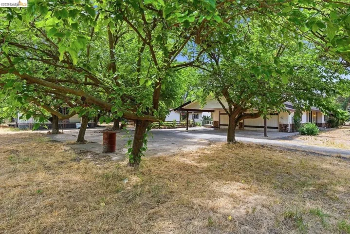 Property exterior featuring mature trees, a covered carport with support columns, stone-look accents on the facade, and an expansive paved driveway