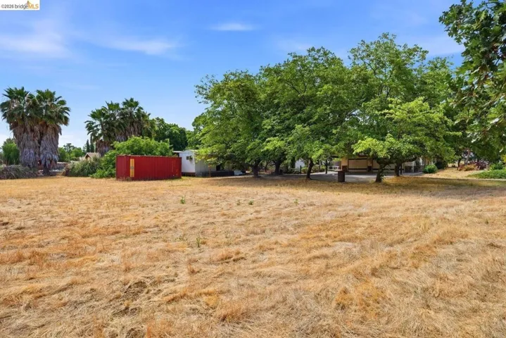 Expansive open field with scattered mature trees and distant palm trees
