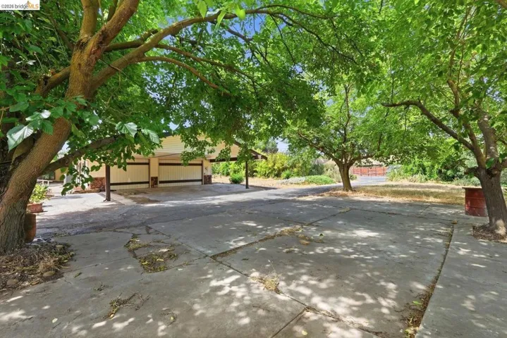 Spacious concrete driveway featuring mature trees providing natural shade