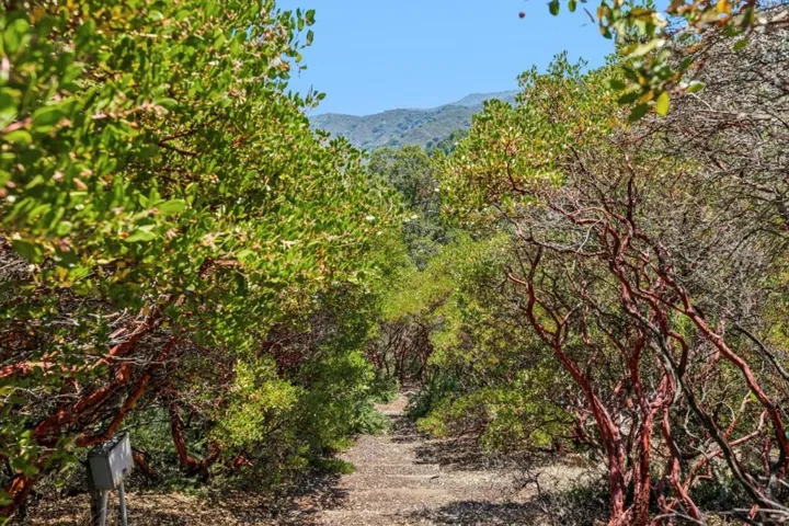 11270 Page Mill Road, Los Altos Hills, California 94022