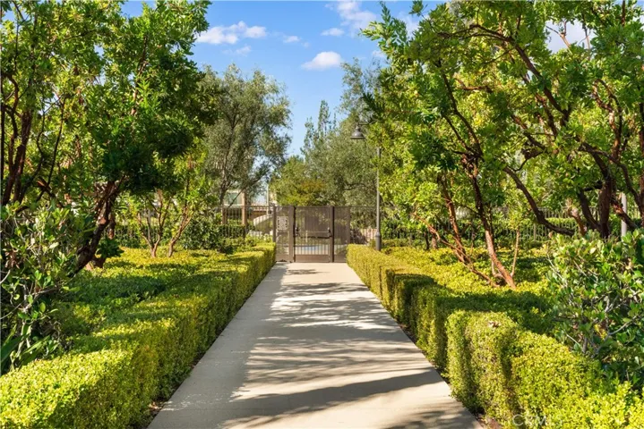 129 Coldwater, Irvine, California 92602