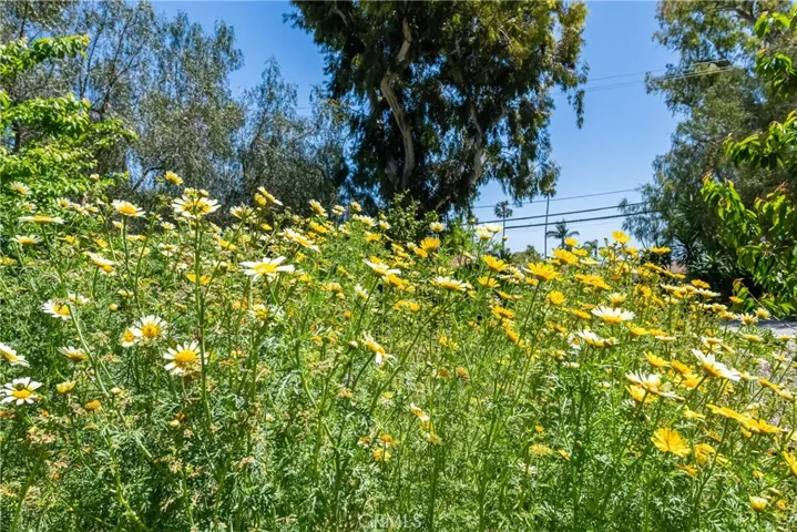 2 Chuckwagon, Rolling Hills, California 90274