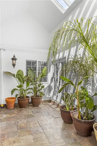 Inside atrium with large plants.
