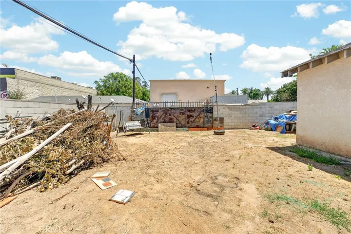 Back Yard