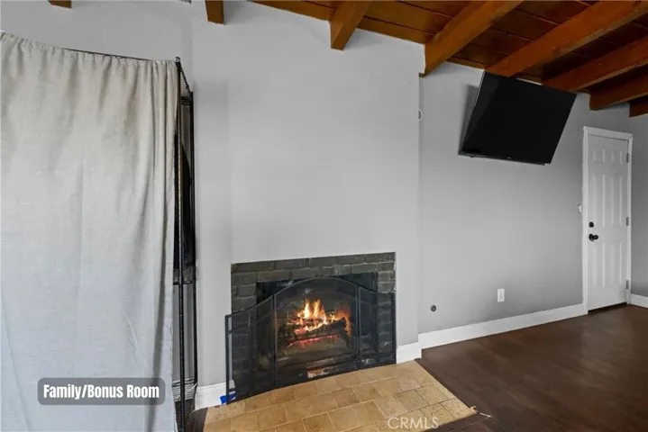 Family/Bonus Room - Fireplace