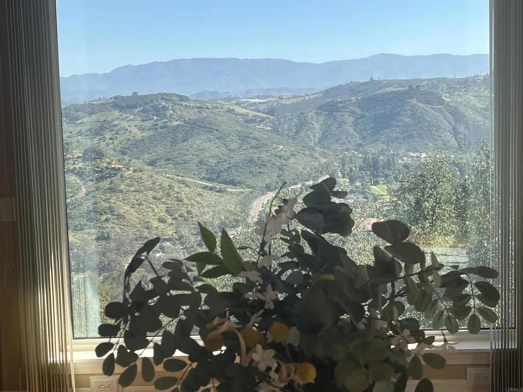 Sunny Day Views from Dining