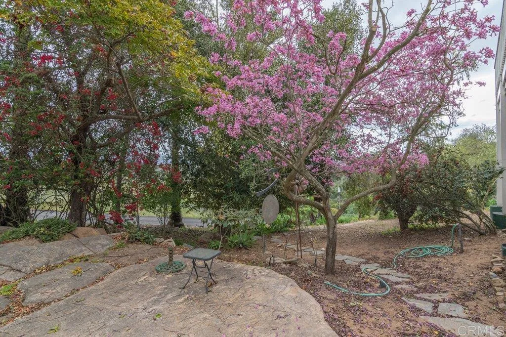 Portion of Driveway