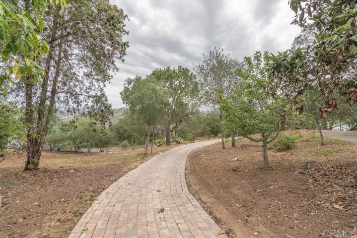 Portion of Driveway