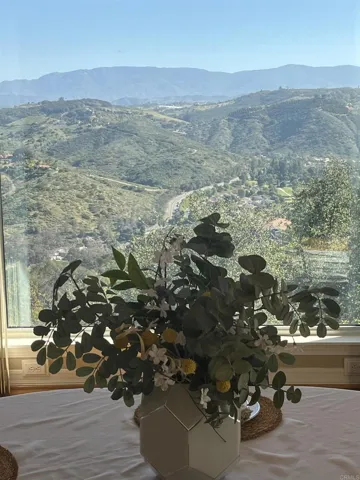 Dining with View
