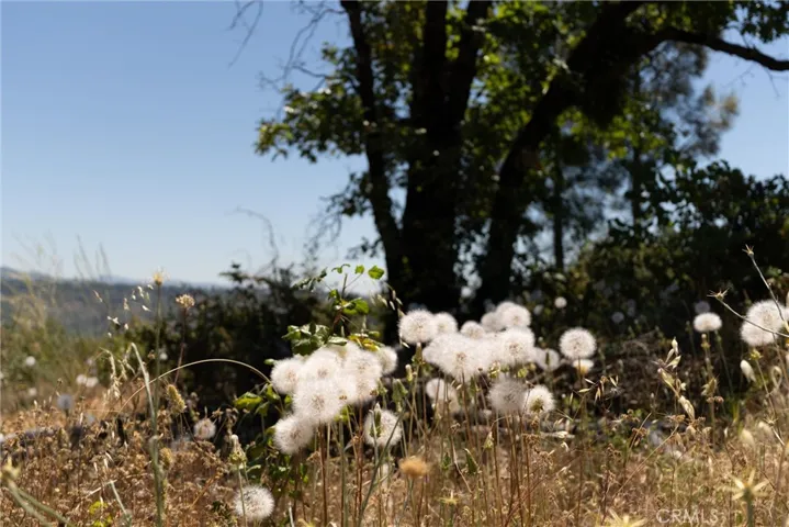 0 Doe Mill, Forest Ranch, California 95942