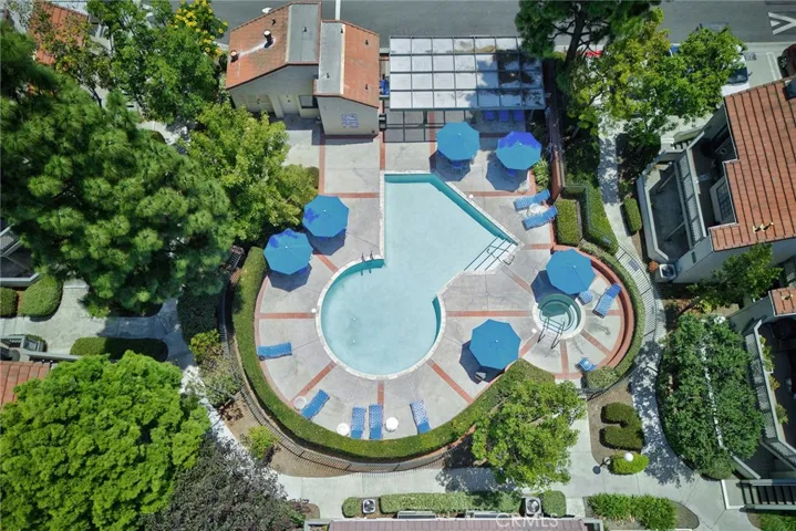 Pool, spa and sauna