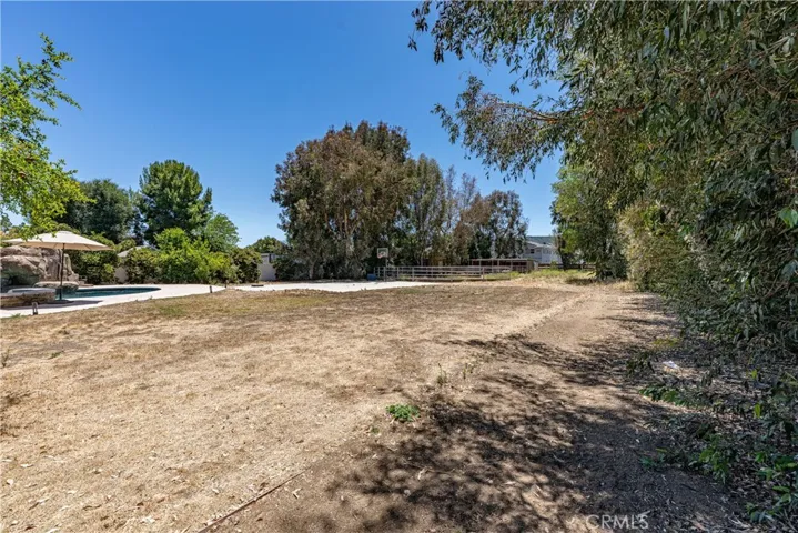 Usable Land ( Almost 1 Acre)