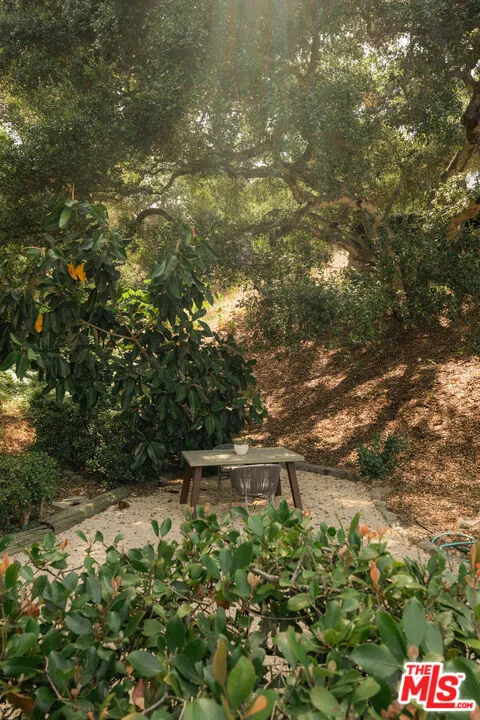 Tranquil Setting