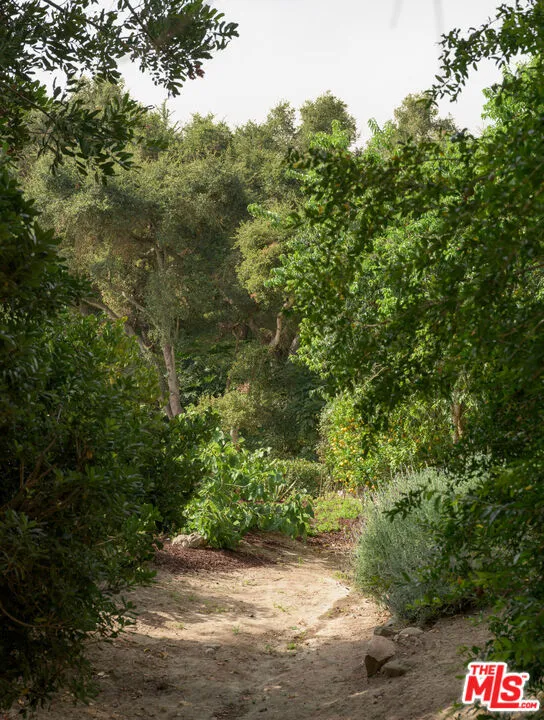 Meandering Paths