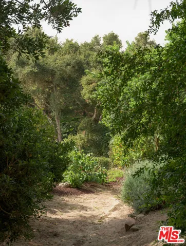 Meandering Paths