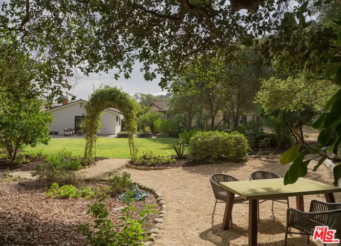 Serene Backyard