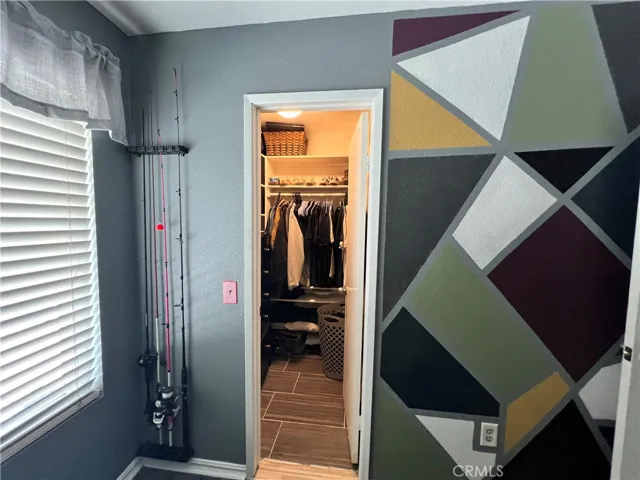 Downstairs Bedroom Closet
