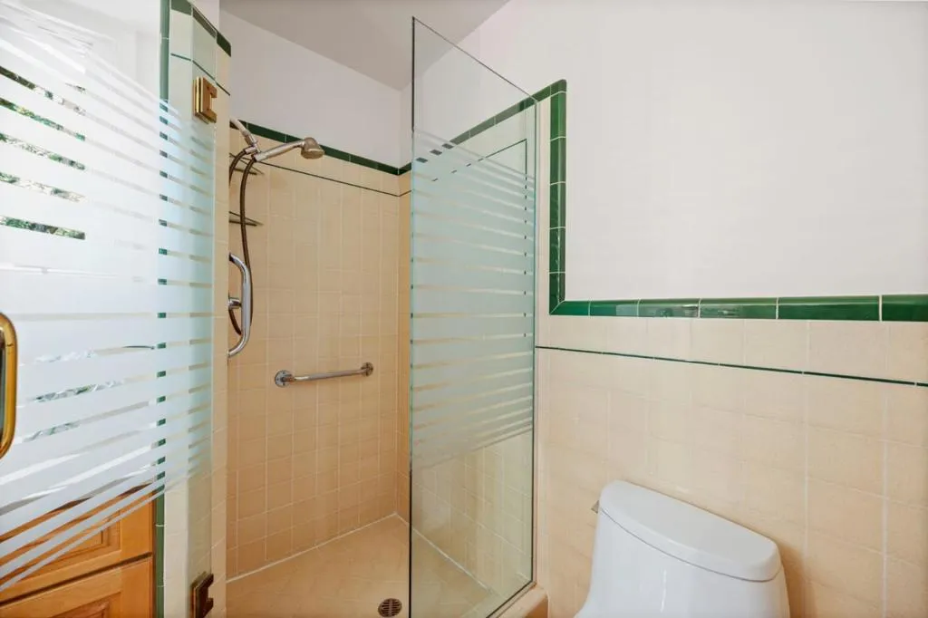 Primary Shower