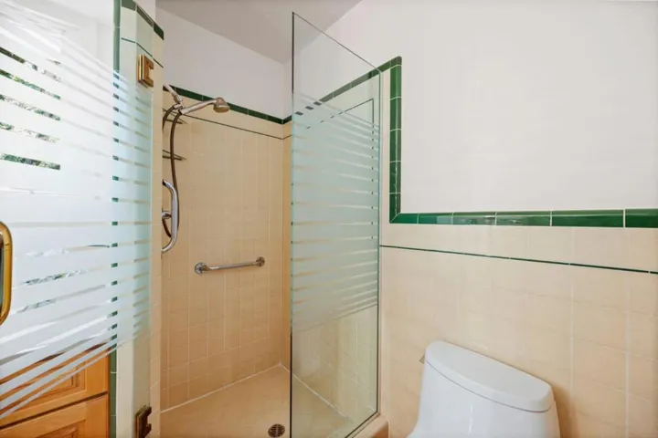 Primary Shower