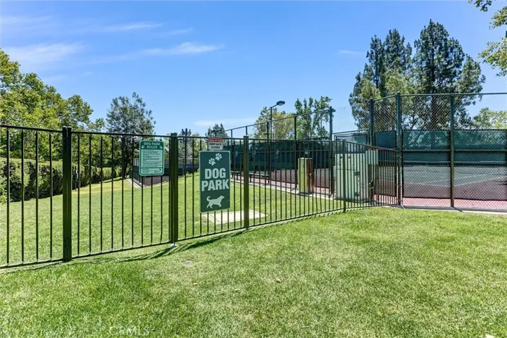Dog Park