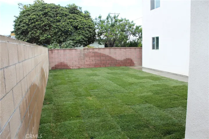 Fresh Sod
