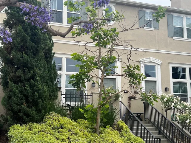 42 Fringe Tree, Irvine, California 92606