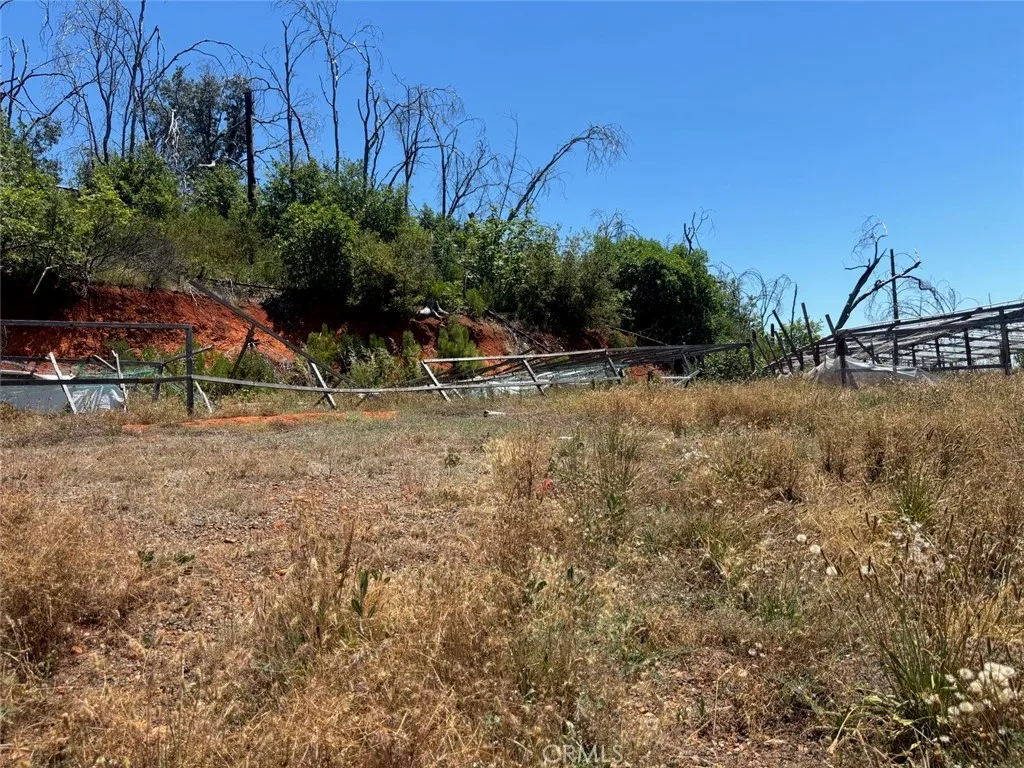 Former Home site and growing area