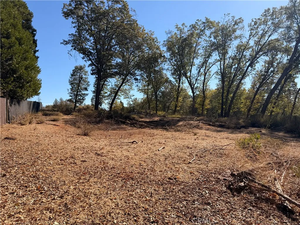 Back end of lot. Newly cleared of tall vegetation