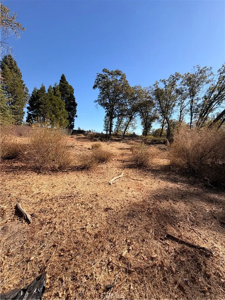 Newly cleared of tall vegetation. Middle part of lot