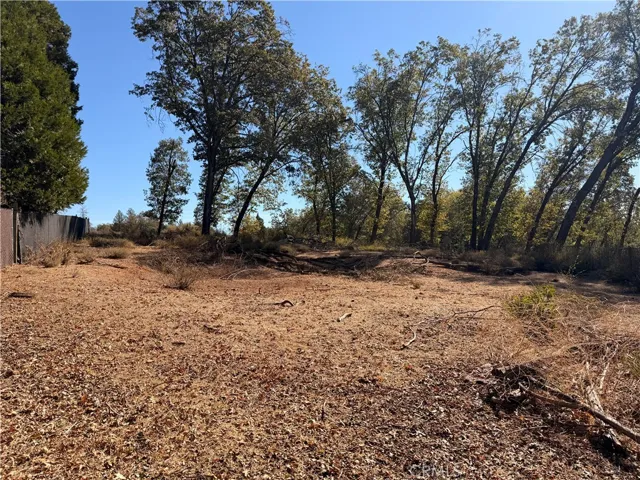 Back end of lot. Newly cleared of tall vegetation