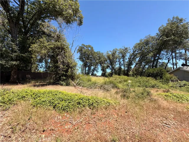 Large, open lot