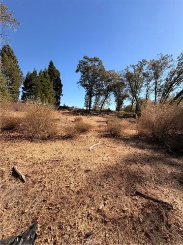 Newly cleared of tall vegetation. Middle part of lot