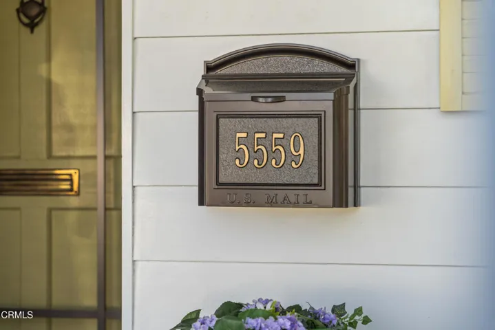 Robinhood Ave-36