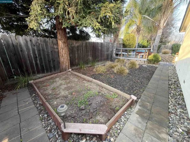 garden box