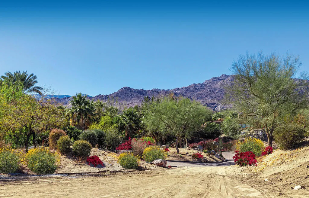 1036 Vale Crest, Palm Desert, California 92260 — photo 5
